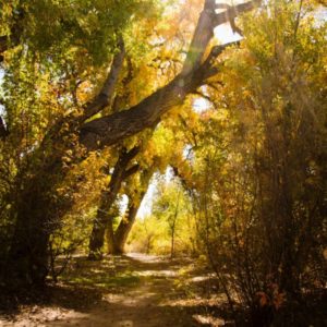 Agraria y Medio Ambiente